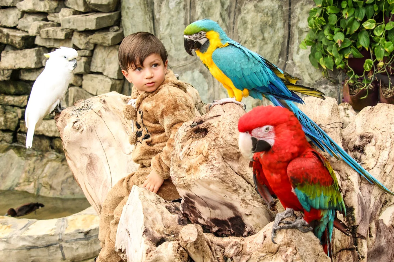 بهترین مکان‌های تفریحی قم به همراه آدرس و عکس