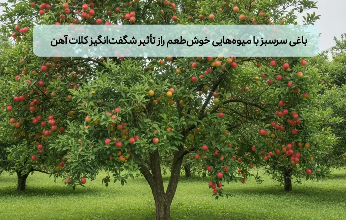 باغی سرسبز با میوه‌هایی خوش‌طعم: راز تاثیر شگفت‌انگیز کلات آهن