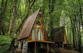 جنگل دوهزار و سه هزار تنکابن چه دارد که معروف است؟