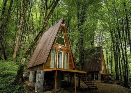 جنگل دوهزار و سه هزار تنکابن چه دارد که معروف است؟