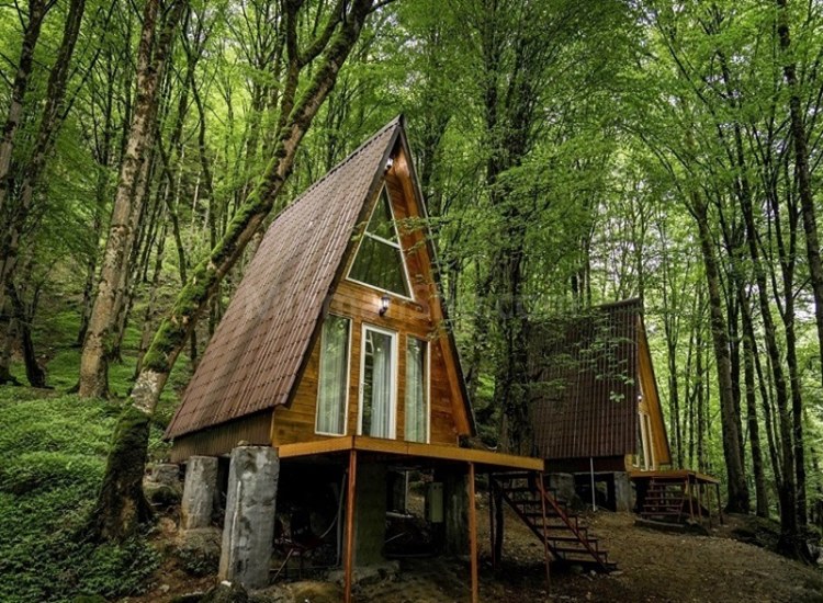 جنگل دوهزار و سه هزار تنکابن چه دارد که معروف است؟