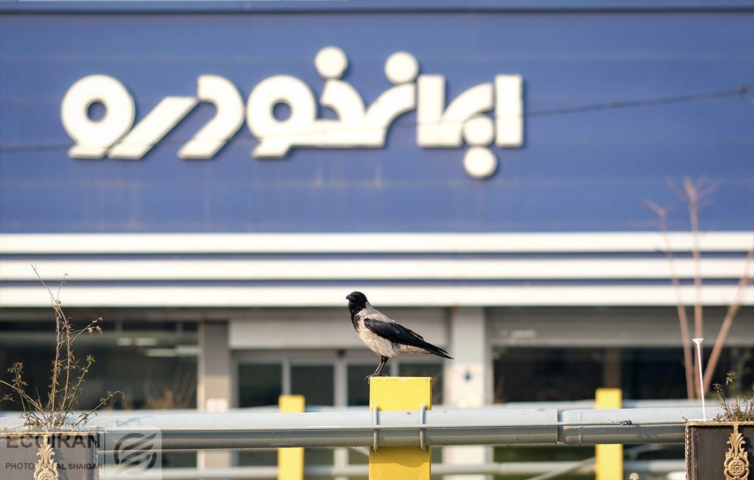 ۴.۵ میلیون نفر در صف خرید ایرانخودرو