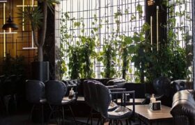 کافهگردی در لاهیجان؛ لوکسترین کافهها با ویوی جنگل و دریاچه