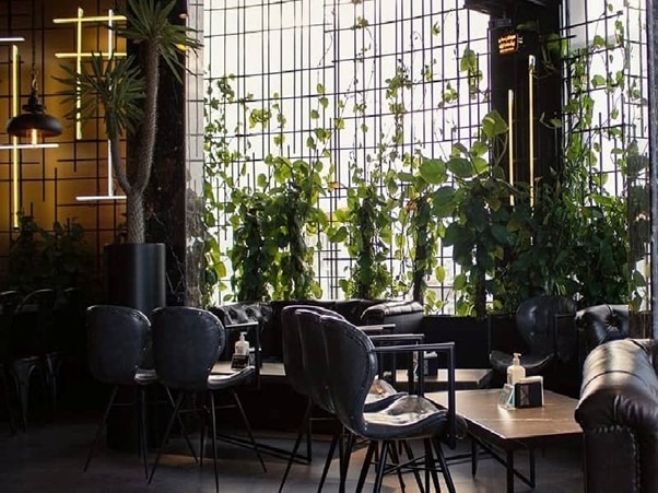 کافه‌گردی در لاهیجان؛ لوکس‌ترین کافه‌ها با ویوی جنگل و دریاچه