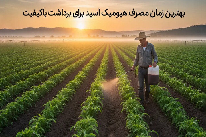 بهترین زمان مصرف هیومیک اسید برای برداشت باکیفیت و پربازده