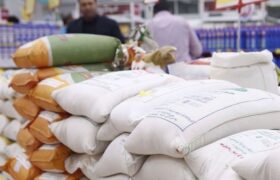 فعال بازار برنج: وزارت جهاد با آزمون و خطا بازار را نامتعادل کرد