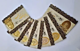 قیمت سکه پارسیان در بازار صعودی امروز اعلام شد (۸ آذر)