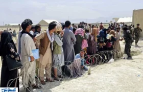 پشت پرده آمار ۸ هزار ویزای کار؛ کارگران افغانستانی بیمه تامین اجتماعی می‌شوند