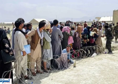 پشت پرده آمار ۸ هزار ویزای کار؛ کارگران افغانستانی بیمه تامین اجتماعی می‌شوند