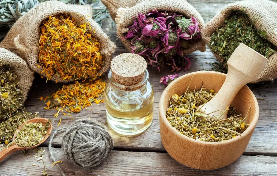 گیاهان دارویی پرکاربرد در طب سنتی و خواص آنها
