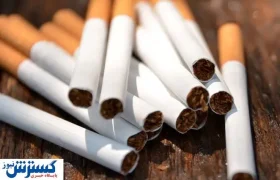 ۵۰ هزار میلیارد از سرمایه کشور دود می‌شود !