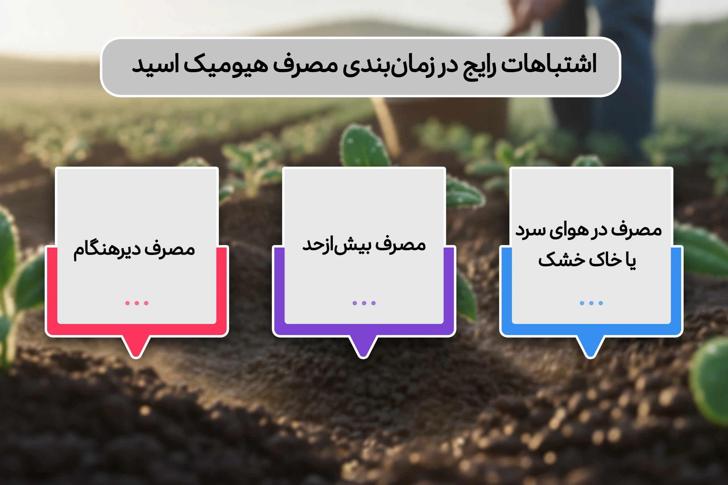 اشتباهات رایج در زمان بندی مصرف هیومیک اسید