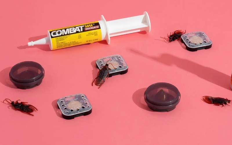 بهترین سم برای از بین بردن سوسک؛ راهنمای کامل انتخاب و جایگزین ایمن چرا سوسکها بهراحتی از بین نمیروند؟