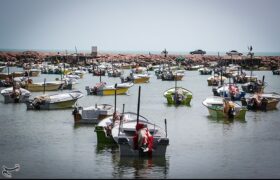 آغاز اجرای پروژههای بهسازی در 17 بندر ماهیگیری کشور