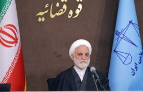 اژه‌ای: ادعای پرداخت جریمه 11هزار میلیاردی از سوی قاچاقچی صحت نداشت