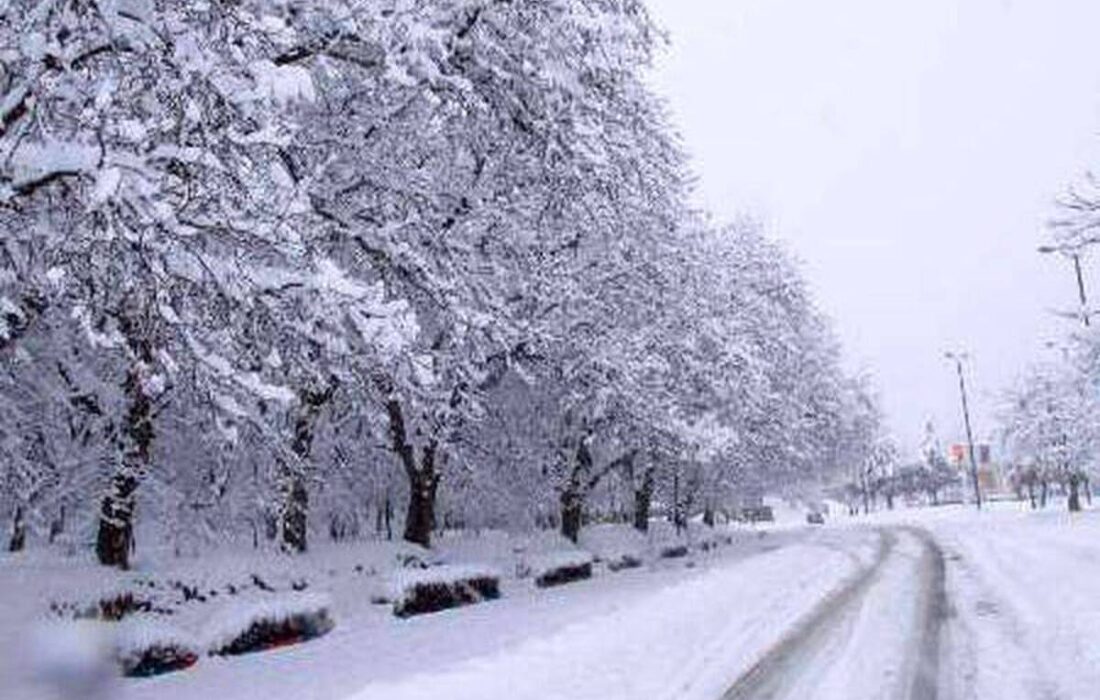 بارش شدید برف همدان را سفیدپوش کرد+ عکس