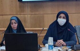 حامد:صنایع دستی بهترین فرصت اشتغال زایی بانوان است