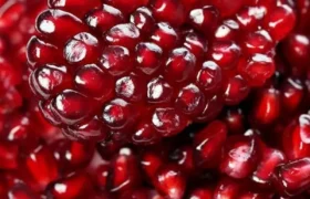 دون کردن انار در یک چشم به‌هم‌زدن/ راز خوشمزگی و زیبایی سفره شب یلدا