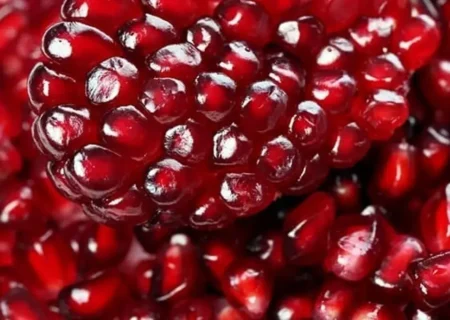 دون کردن انار در یک چشم به‌هم‌زدن/ راز خوشمزگی و زیبایی سفره شب یلدا