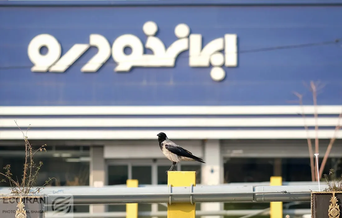 زمان اعلام نتایج قرعه کشی طرح عادی و مادران ایرانخودرو اعلام شد