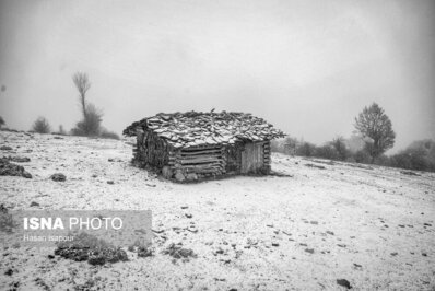 زیبایی حیرت انگیز اولین برف پاییزی در ارتفاعات سوادکوه+ عکس