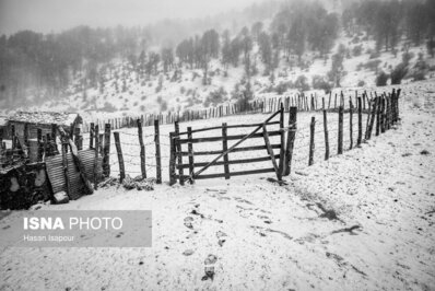 زیبایی حیرت انگیز اولین برف پاییزی در ارتفاعات سوادکوه+ عکس