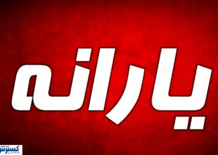 شوک بزرگ به قدرت خرید؛ کالابرگ و یارانه خرد کافی نیست