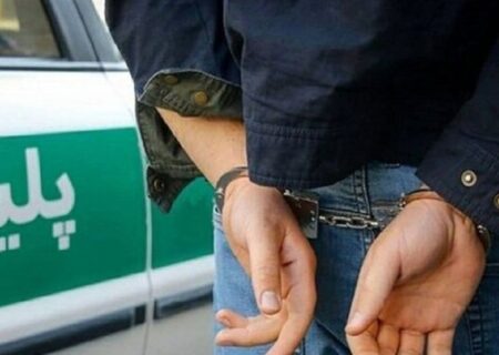 مهدی عربلو، جراح زیبایی قلابی دستگیر شد+تصویر و جزئیات پرونده