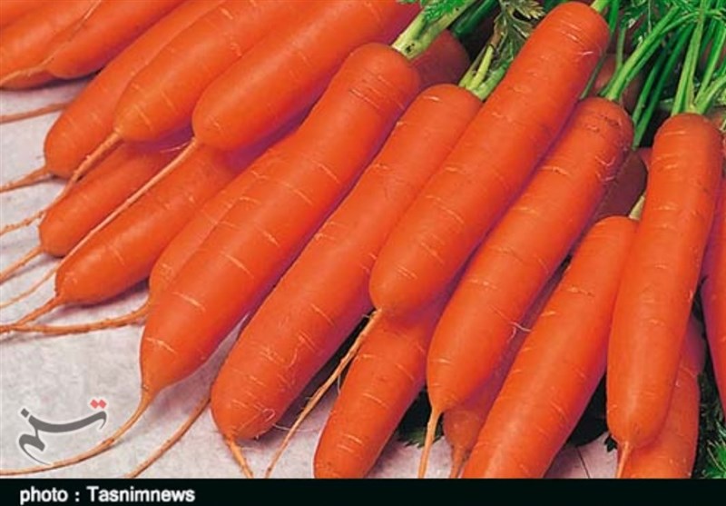هستهای در کشاورزی ــ 62| اثر فناوری هستهای در بهبود کیفیت «هویج»