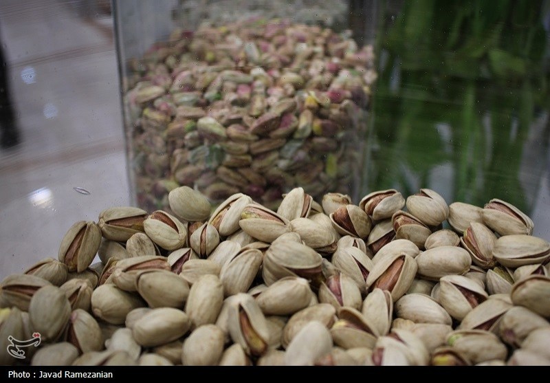 هسته‌ای در کشاورزی ــ 65 | دفع حشرات «پسته» با فناوری هسته‌ای