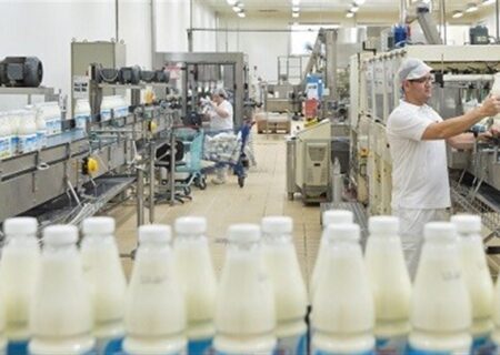 وعده دولت برای کاهش قیمت لبنیات و هشدار داغ درفش به صنایع