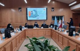 کیانی نژاد:زنان موتور محرک توسعه پایدار در گردشگری و صنایع‌دستی هستند