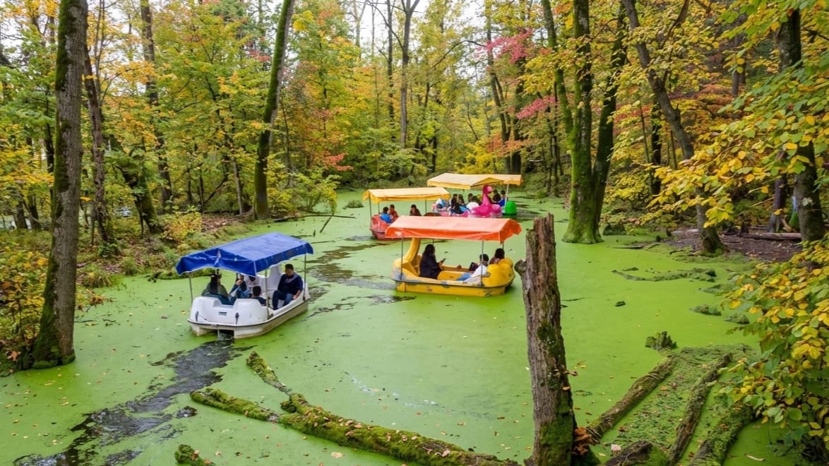 روستاگردی با طعم اسکمو؛ تجربهای متفاوت در اطراف رشت جنگل سراوان گیلان