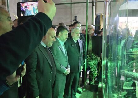 ادای احترام وزیر میراث فرهنگی به حرم مطهر سبزقبا(ع) در دزفول
