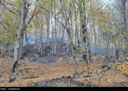 «نجات آب» ــ 52 | صیانت از پوشش گیاهی بالادست حوضه آبریز