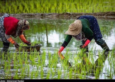 «نجات آب» ــ 53 | آموزش زنان کشاورز در مناطق کم‌برخوردار