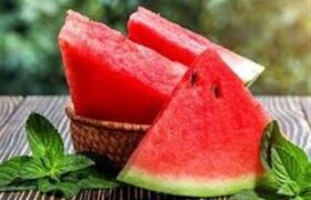 «نجات آب» ــ 55 | محدودیت محصولات پرآب‌بر صادراتی