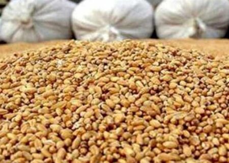 پرداخت تسهیلات برای خرید نهاده‌ با حذف ارز ترجیحی