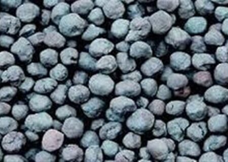 بزرگترین تامین مالی تاریخ بورس کالا فردا انجام می شود