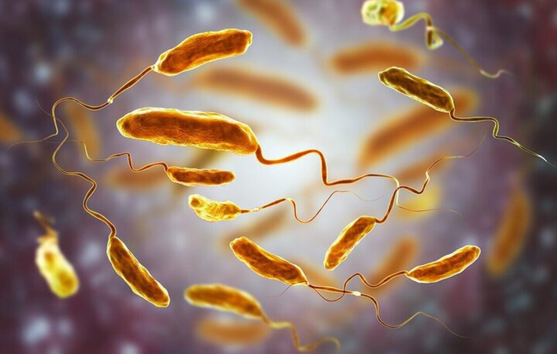 مرگ مشکوک مرد انگلیسی/ پای وبا در میان است؟