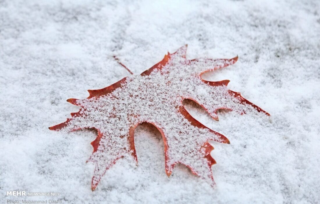 هشدار سازمان هواشناسی / سامانه بارشی گسترده در راه کشور است