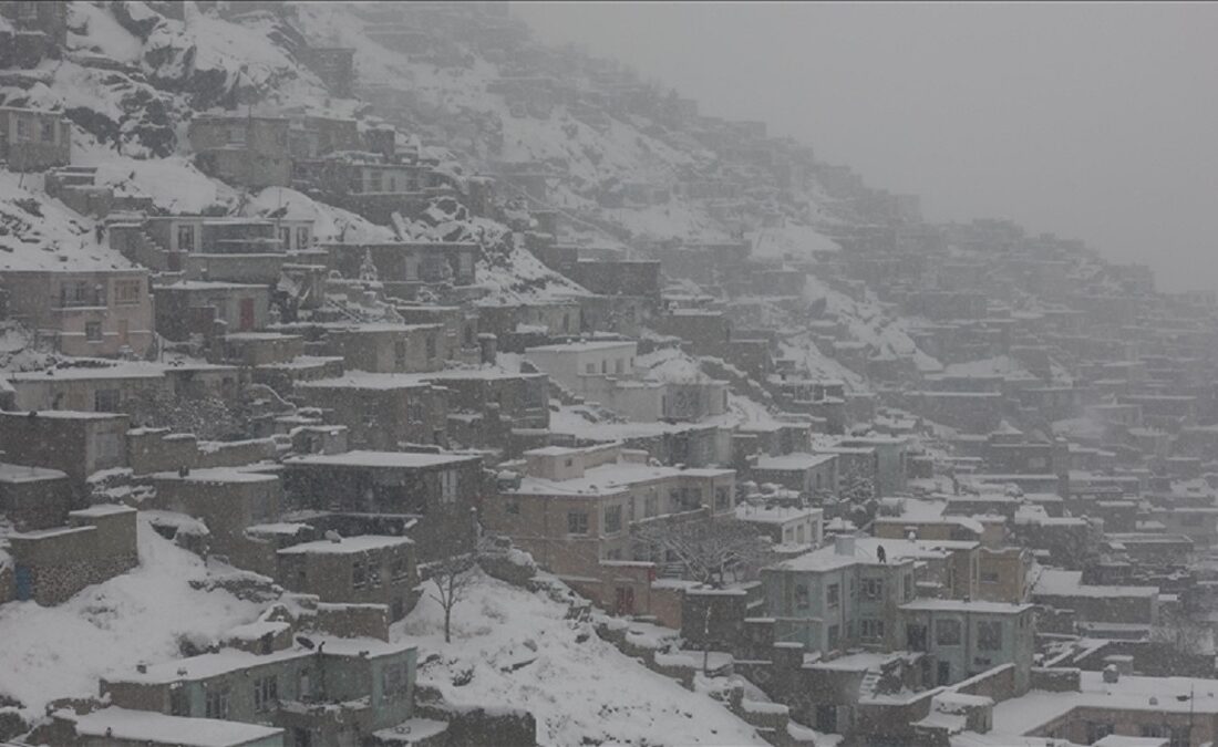 پیش بینی هواشناسی ایران فردا ۲۴ بهمن ۱۴۰۴/ ورود سامانه بارشی گسترده از این تاریخ