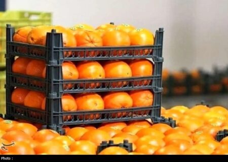 آغاز توزیع میوه ایام پایانی سال از امروز در تهران