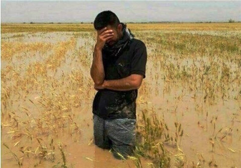 اختصاص 30 همت برای جبران خسارات کشاورزان