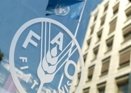 ایران خواستار استفاده رسمی از نام «خلیج فارس» در اسناد فائو شد