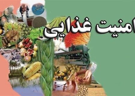 زیرساخت‌های امنیت غذایی کشور مستحکم است