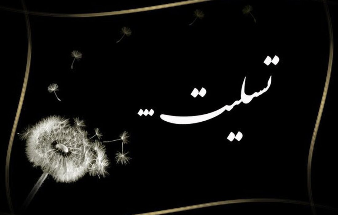 شهادت دانشجوی پزشکی در بمباران میدان انقلاب