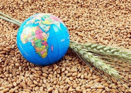 هشدار کارشناسان درباره بحران غذایی جهانی با بسته ماندن تنگه هرمز