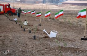 پیگیری طرح رهبر شهید برای کاشت یک میلیارد درخت با قوت بیشتر