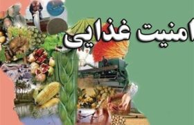 85 درصد امنیت غذایی کشور داخلی است